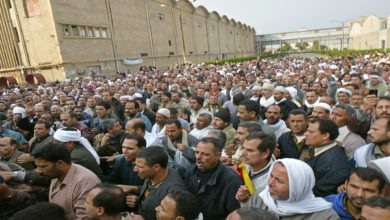 عمال مصر: النضال من أجل الحقوق